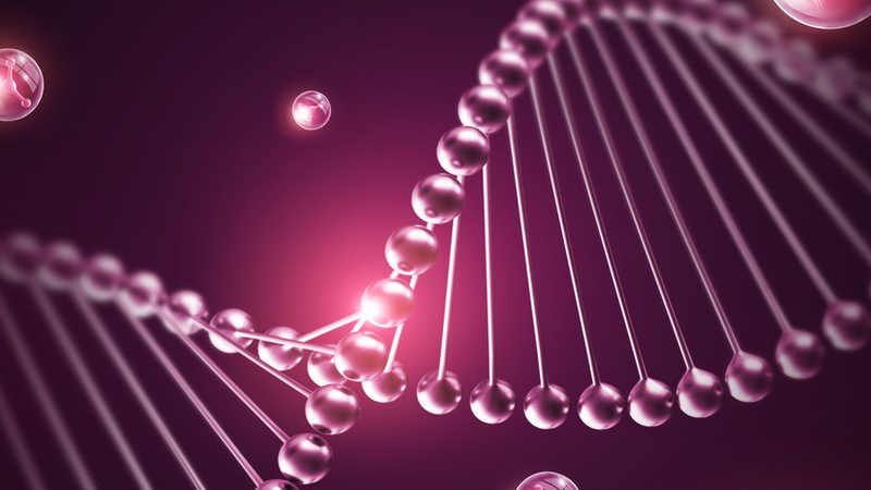 细胞培养基：如何选择适合您实验的优质品牌？**