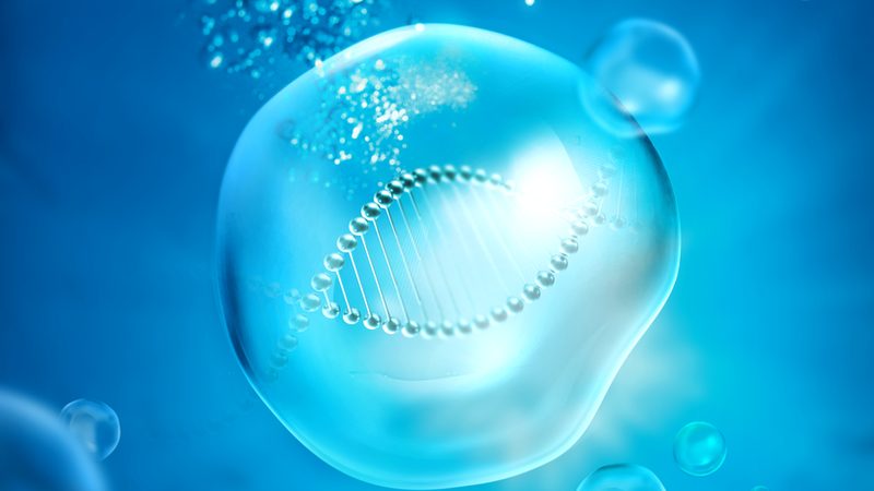 细胞培养实验设计：如何避免常见陷阱，确保实验成功**