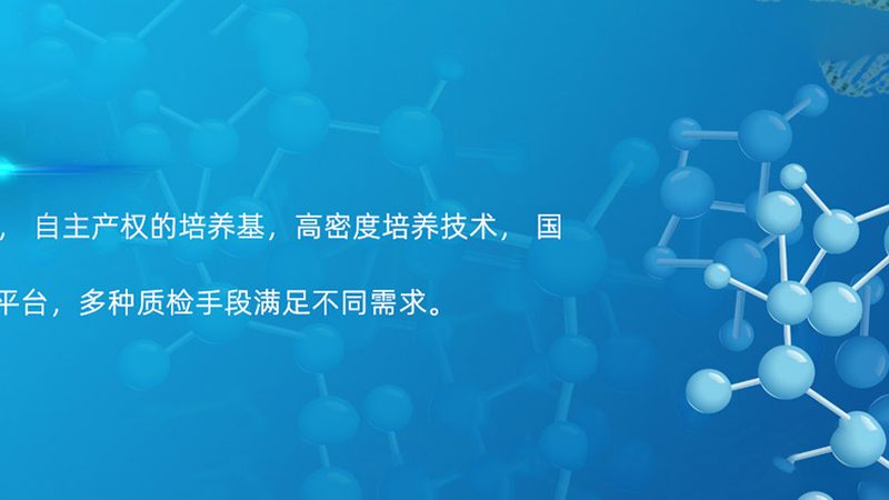 生物医药外包中小企业代理方案：破解研发难题的“金钥匙”**