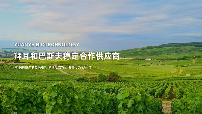 移液器校准与验证：精准科研的基石**