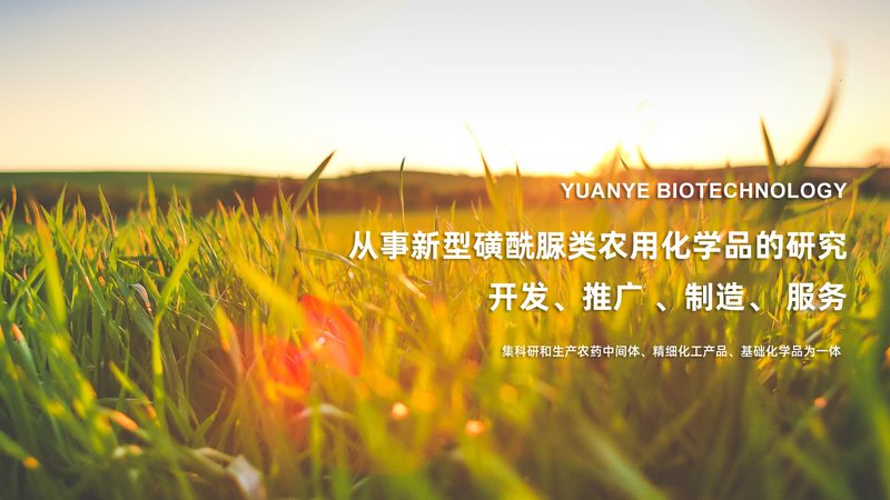 PCR实验的移液器选择，单道还是多道更靠谱