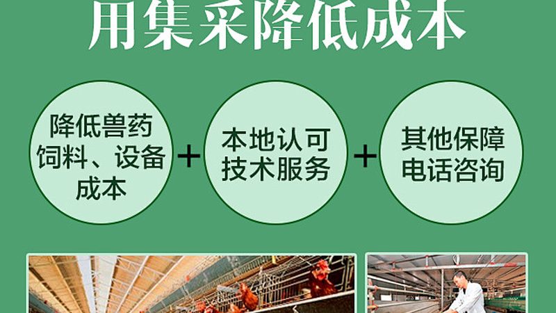 细胞工厂加盟代理，如何规避误区，选择优质合作伙伴？**