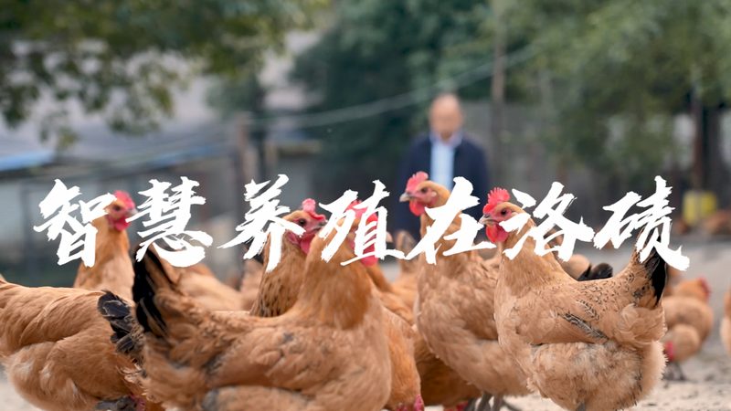 酶含量测定的多样方法解析**
