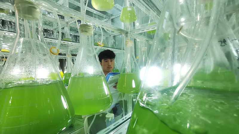 北京生物科技公司注册代办：流程解析与关键点
